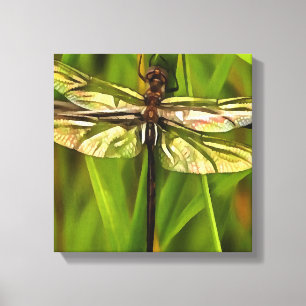 Artistic Dragonfly In Brown And Yellow On Green Canvas Print