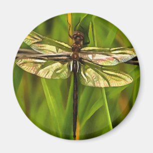 Artistic Dragonfly In Brown And Yellow On Green Magnet