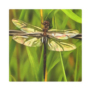 Artistic Dragonfly In Brown And Yellow On Green Metal Print