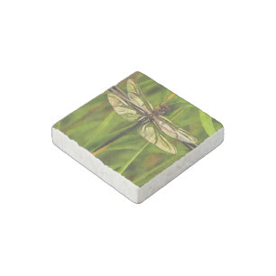 Artistic Dragonfly In Brown And Yellow On Green Stone Magnet