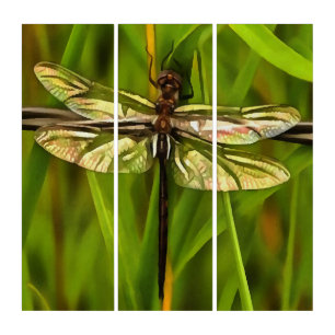Artistic Dragonfly In Brown And Yellow On Green Triptych