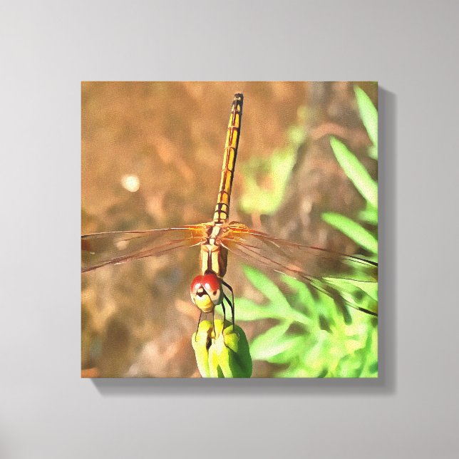 Artistic Dragonfly Resting On A Flower Head Canvas Print (Front)