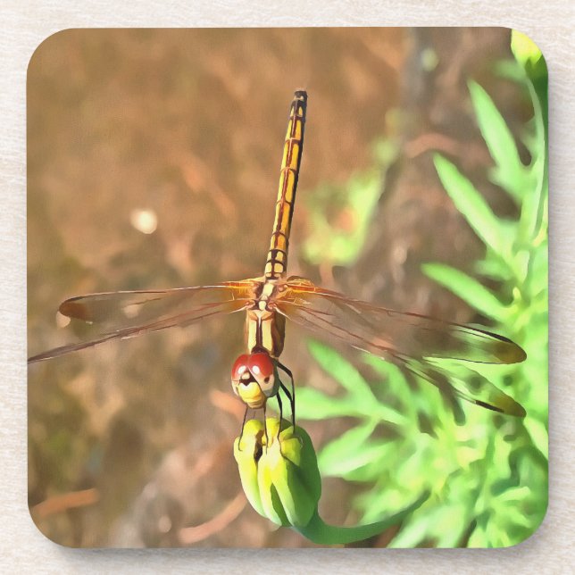 Artistic Dragonfly Resting On A Flower Head Drink Coaster (Front)