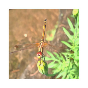 Artistic Dragonfly Resting On A Flower Head Metal Print