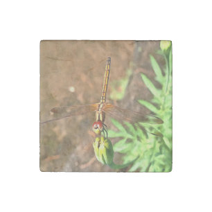 Artistic Dragonfly Resting On A Flower Head Stone Magnet