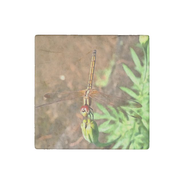 Artistic Dragonfly Resting On A Flower Head Stone Magnet (Front)