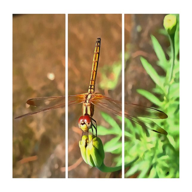 Artistic Dragonfly Resting On A Flower Head Triptych (Front)