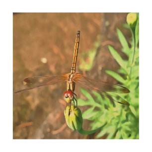 Artistic Dragonfly Resting On A Flower Head Wood Wall Art