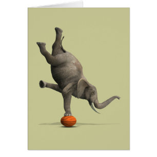 Artistic Elephant Cards