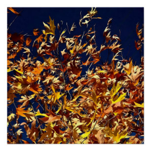 Artistic Fall Leaves Against Deep Blue Sky Poster