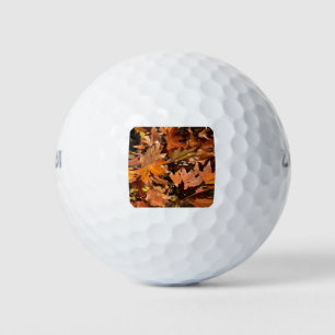 Artistic Fall Leaves In Autumn Sunshine 2 Golf Balls