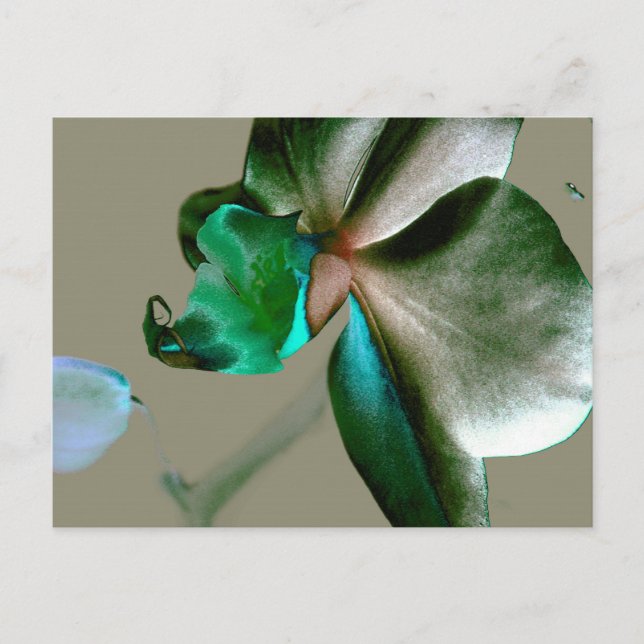Artistic Flower in Blue, Green and Grey Tones Postcard (Front)