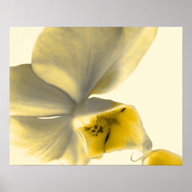 Artistic Flower in Yellow Tones Poster (Front)