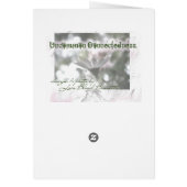 artistic fractal cards (Back)