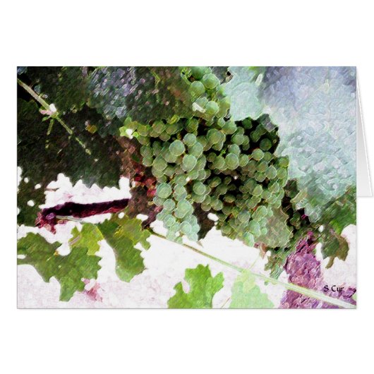 Artistic Grapes, S Cyr Cards (Front Horizontal)