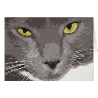 Artistic Gray Cat Face Cards