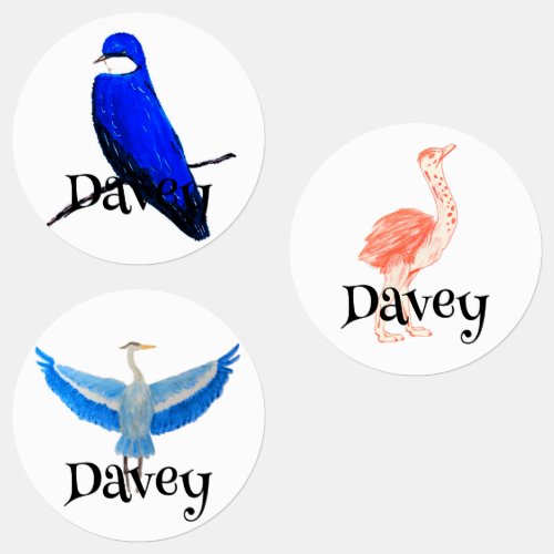 Artistic Hand_drawn Birds Kids Labels