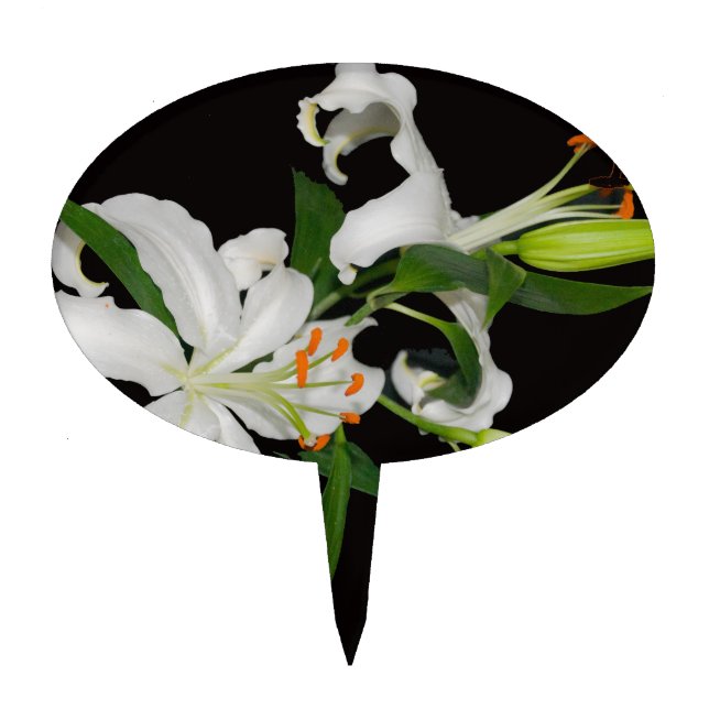 Artistic Lily Collection-1 Cake Topper (Front)