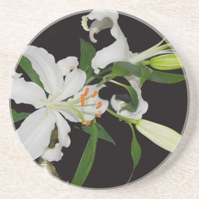 Artistic Lily Collection-1 Drink Coaster (Front)