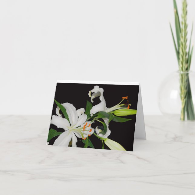 Artistic Lily Collection-Greeting Cards (Front)