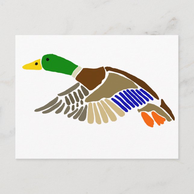 Artistic Mallard Duck in Flight Art Postcard (Front)