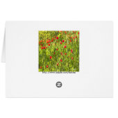 Artistic Meadow Poppy Landscape (Back Horizontal)