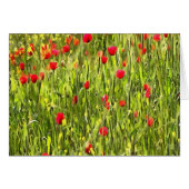 Artistic Meadow Poppy Landscape (Front Horizontal)