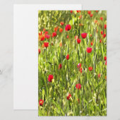 Artistic Meadow Poppy Landscape (Front/Back)