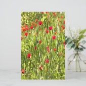 Artistic Meadow Poppy Landscape (Standing Front)