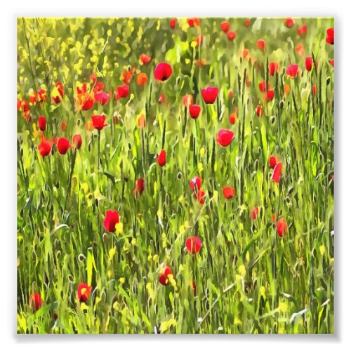 Artistic Meadow Poppy Landscape Photo Print