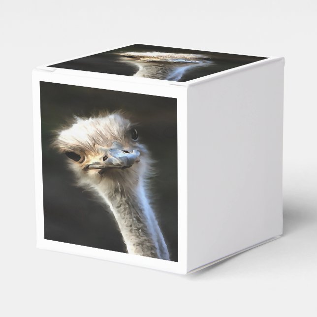 Artistic Ostrich Portrait With Goofy Expression Favor Boxes (Front Side)