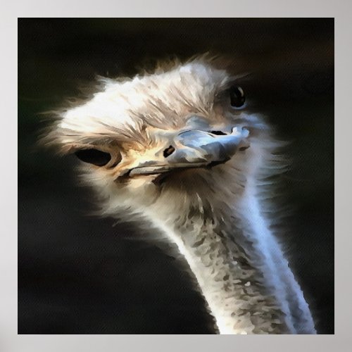 Artistic Ostrich Portrait With Goofy Expression Poster