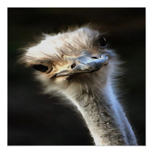 Artistic Ostrich Portrait With Goofy Expression Poster