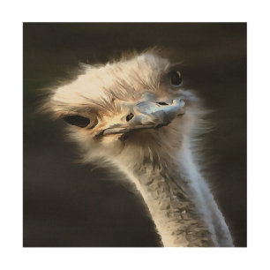 Artistic Ostrich Portrait With Goofy Expression Wood Wall Art