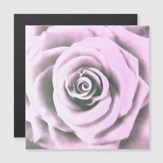Artistic Pink Rose rb (Front/Back)