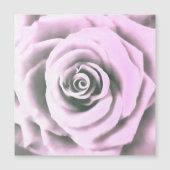 Artistic Pink Rose rb (Front)