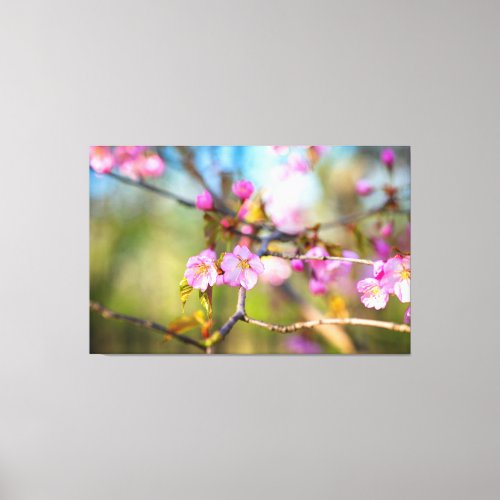 Artistic Pink Sakura Flowers In The Cherry Garden Canvas Print