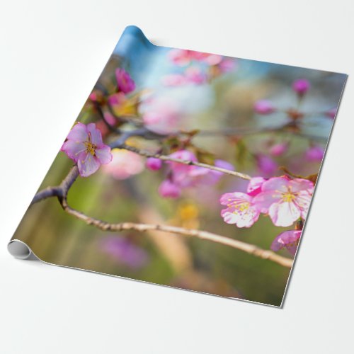 Artistic Pink Sakura Flowers In The Cherry Garden Wrapping Paper