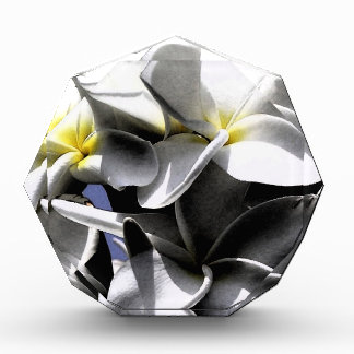 Artistic Plumeria Flowers Award