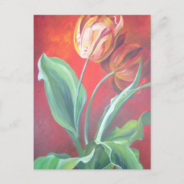 Artistic Red and Yellow Tulips Postcard (Front)