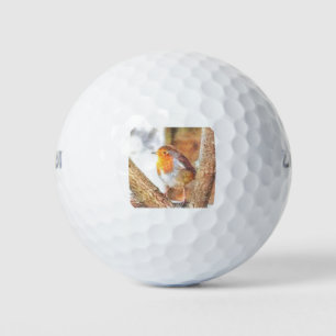 Artistic Robin Redbreast Perched Golf Balls