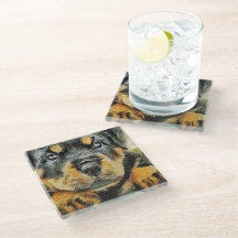 Artistic Rottweiler Puppy Portrait