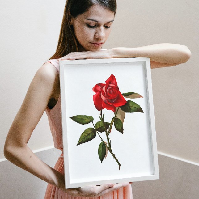 Artistic Single Stem Red Rose Poster (Creator Uploaded)