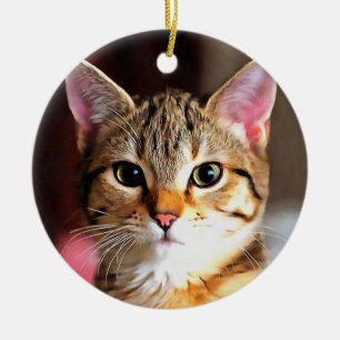 Artistic Tabby Cat Kitten Portrait Ceramic Ornament