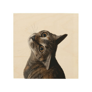Artistic Tabby Cat Portrait Photo Wood Wall Art