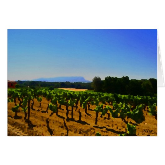 Artistic Vineyard, S Cyr Cards (Front Horizontal)