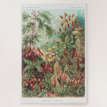 Artistic Vintage Illustration Nature Ernst Haeckel Jigsaw Puzzle<br><div class="desc">Artistic Vintage Illustration Nature Ernst Haeckel Puzzle</div>
