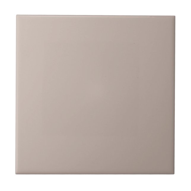 Artistically Taupe Square Kitchen and Bathroom Ceramic Tile (Front)