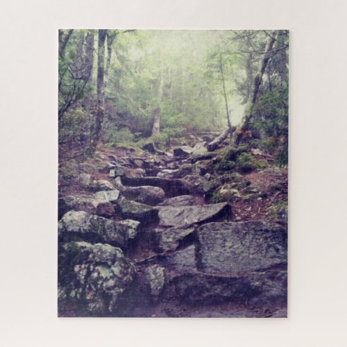 Artists Bluff Rocky Hiking Trail in New Hampshire Jigsaw Puzzle