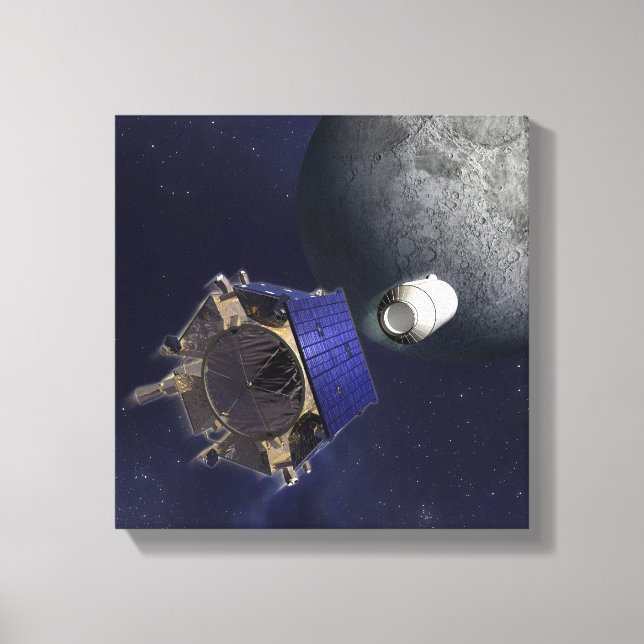 Artist's Illustration Canvas Print (Front)